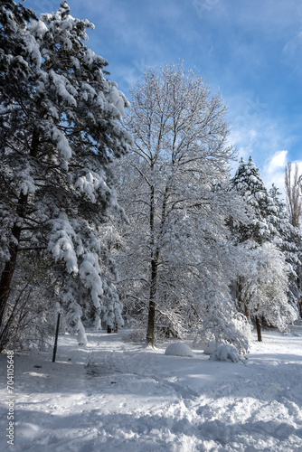 Wallpaper Mural Winter Landscape of South Park in city of Sofia, Bulgaria Torontodigital.ca