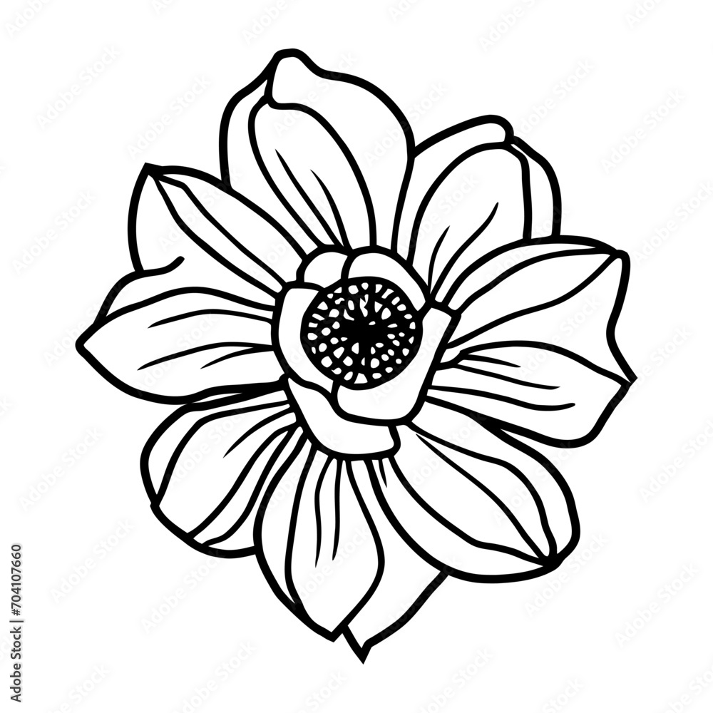Hand drawn simple flower illustration Hand drawn simple flower illustration