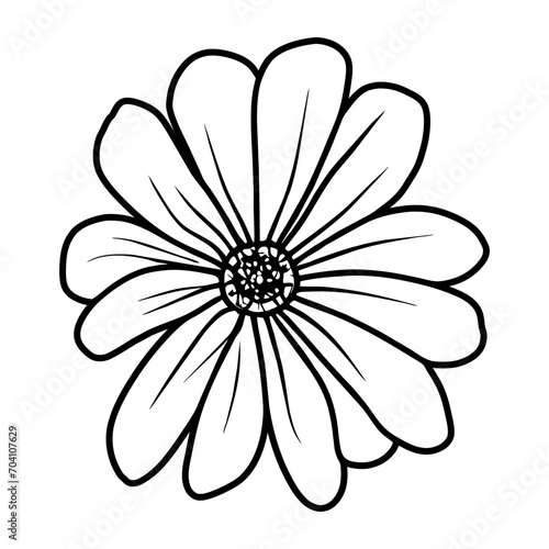 Hand drawn simple flower illustration