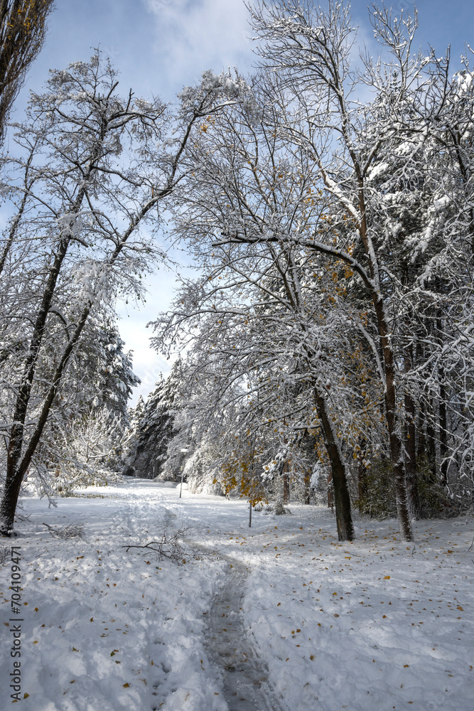 Winter Landscape of South Park in city of Sofia, Bulgaria Winter Landscape of South Park in city of Sofia, Bulgaria