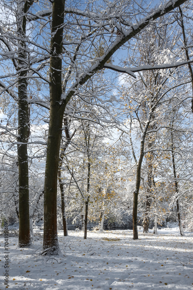 Winter Landscape of South Park in city of Sofia, Bulgaria Winter Landscape of South Park in city of Sofia, Bulgaria