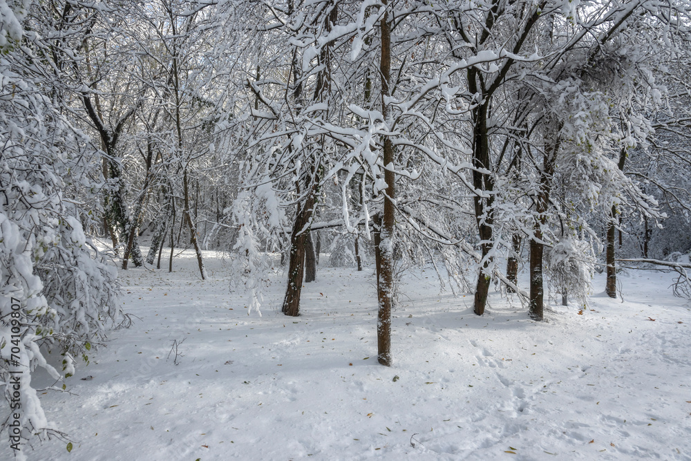 Winter Landscape of South Park in city of Sofia, Bulgaria Winter Landscape of South Park in city of Sofia, Bulgaria
