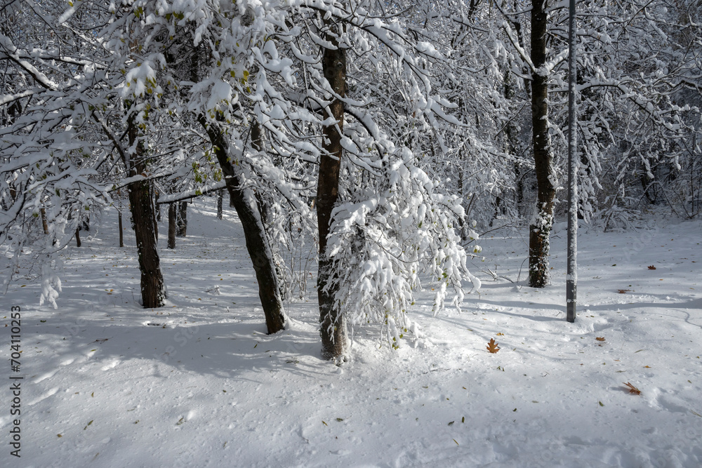 Winter Landscape of South Park in city of Sofia, Bulgaria Winter Landscape of South Park in city of Sofia, Bulgaria