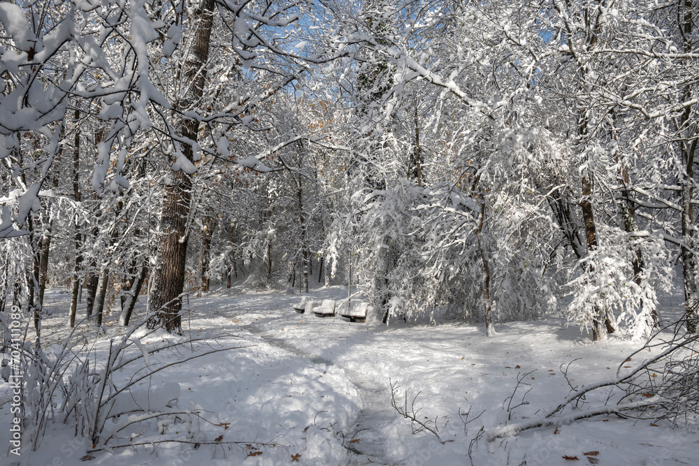 Winter Landscape of South Park in city of Sofia, Bulgaria Winter Landscape of South Park in city of Sofia, Bulgaria