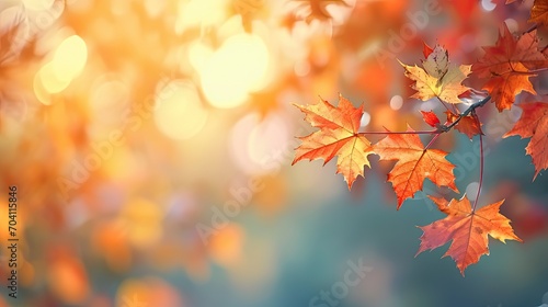 Happy Thanksgiving day concept: Maple leaves branch over gradient blurry autumn sunset background 