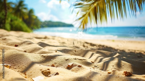 Close-up of sandy beach with palm leaves in the foreground and sparkling ocean in the background