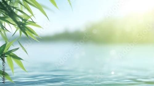 border of green bamboo leaves over sunny water surface background banner  beautiful spa nature scene with asian spirit and copy space