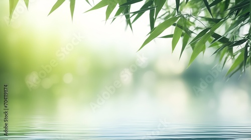 border of green bamboo leaves over sunny water surface background banner  beautiful spa nature scene with asian spirit and copy space