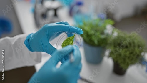 Scientist examining green leaf in petri dish indoor laboratory research photo