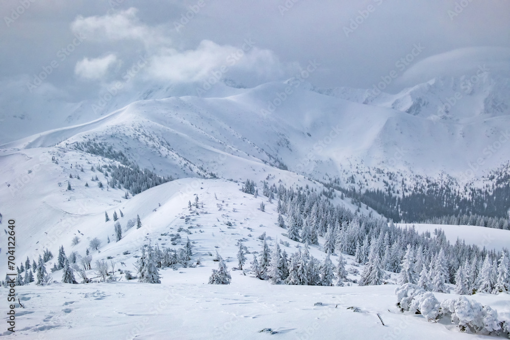 Beautiful snow covered landscape in mountains during cold winter day Beautiful snow covered landscape in mountains during cold winter day