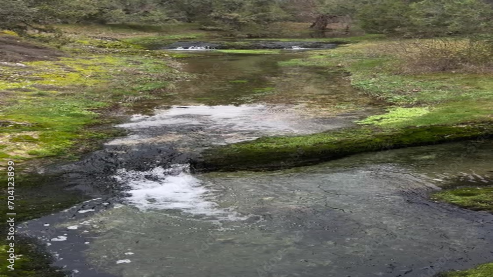 a small mountain river of pure and crystalline waters flows calmly along its course and its green riverbank, with two small waterfalls, vertical panning, 4k, vertical a small mountain river of pure and crystalline waters flows calmly along its course and its green riverbank, with two small waterfalls, vertical panning, 4k, vertical