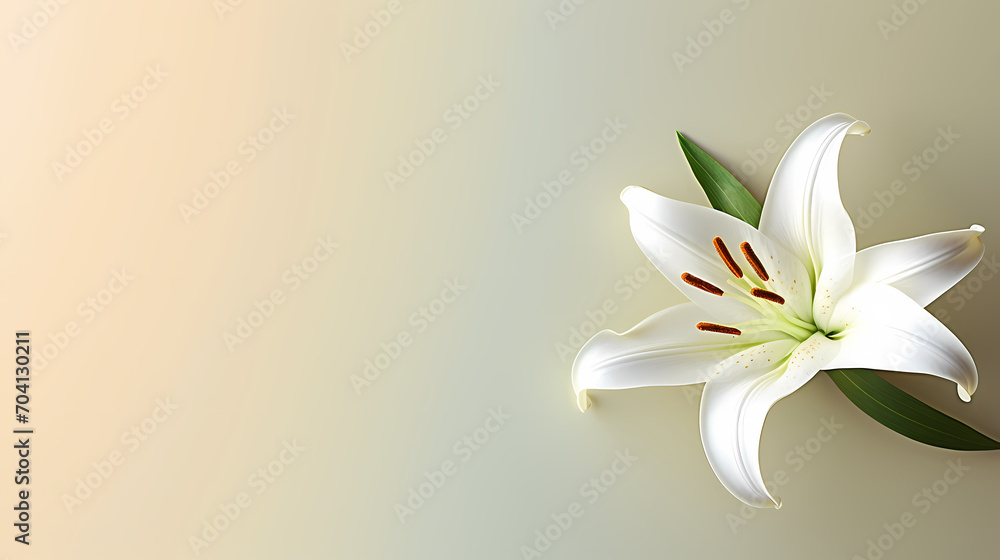 Fototapeta premium Holiday party background, New Year, birthday, celebration, Christmas background with blank copy space