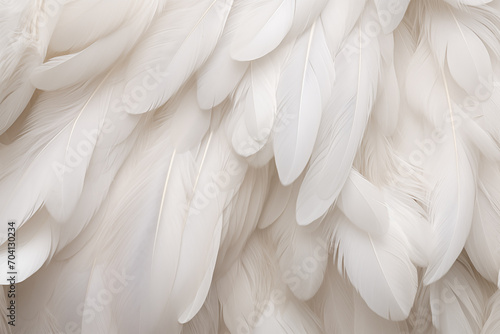 close up of white feathers photo