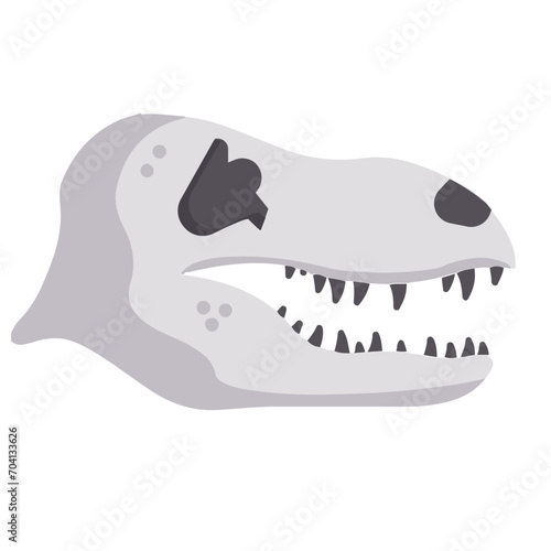 dinosaur fossils