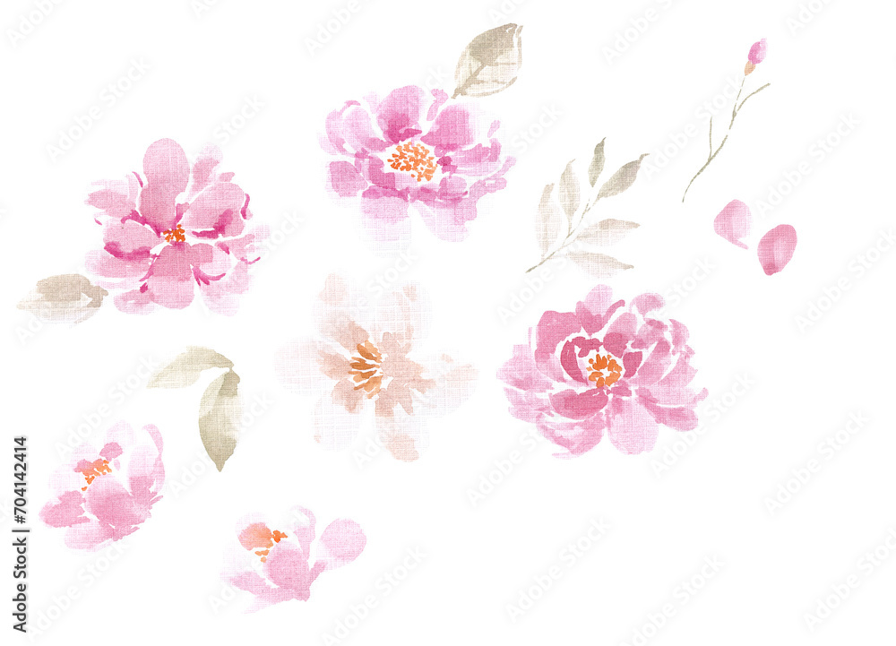 Pink Rose Watercolor Flower Set