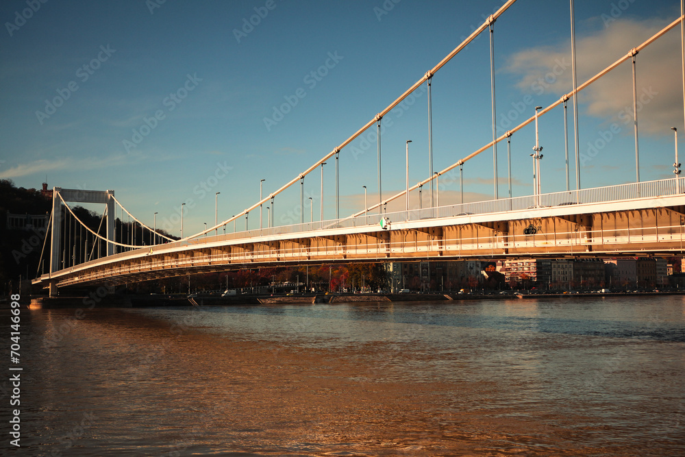 Fototapeta premium bridge over the river