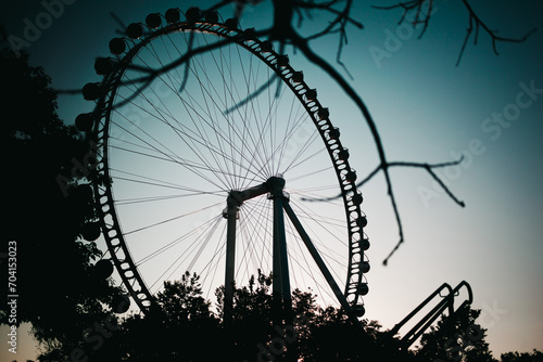 ferris wheel in the park