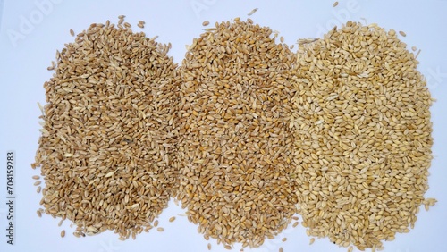 Left to right wheat brazil, wheat Romania and wheat Australia. the raw material starch source and Phytate  for animal feed