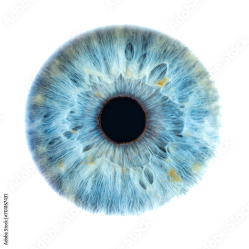 Macro photo of human eye on white background. Close-up of male blue colored eye. Structural Anatomy. Human Iris Detail. Filamentes and Pigments. High Resolution.