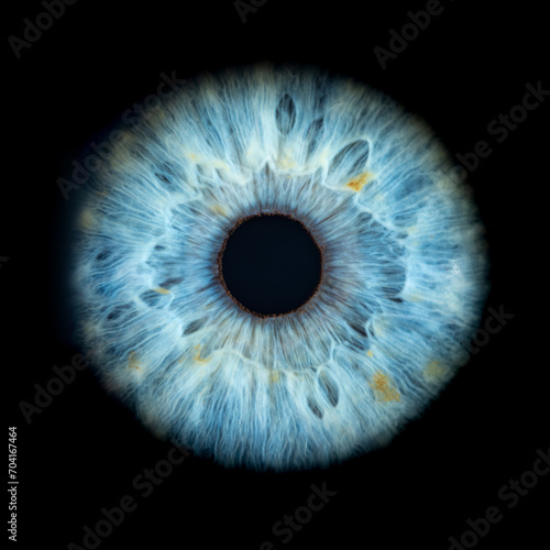 Macro photo of human eye on black background. Close-up of male blue colored eye. Structural Anatomy. Iris Detail. Filamentes and Pigments. Super Resolution. photo