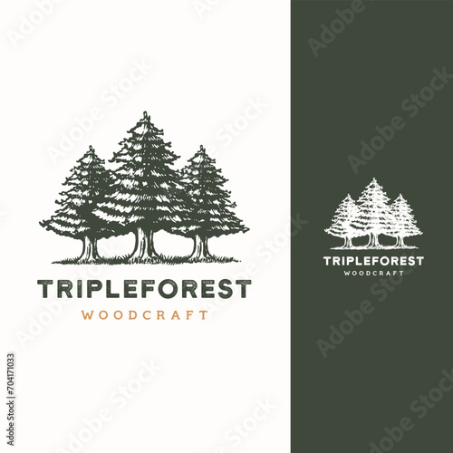 pine evergreen cedar cypress larch pinus tree forest vintage retro hipster hand drawn Logo design illustration photo