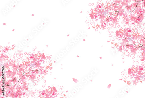 桜　春　花びら　背景
