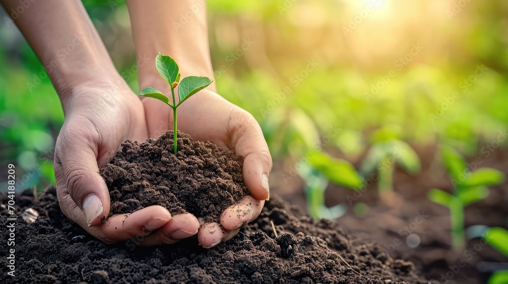 World soil day concept: Human hands holding seed tree with soil on blurred agriculture field background World soil day concept: Human hands holding seed tree with soil on blurred agriculture field background