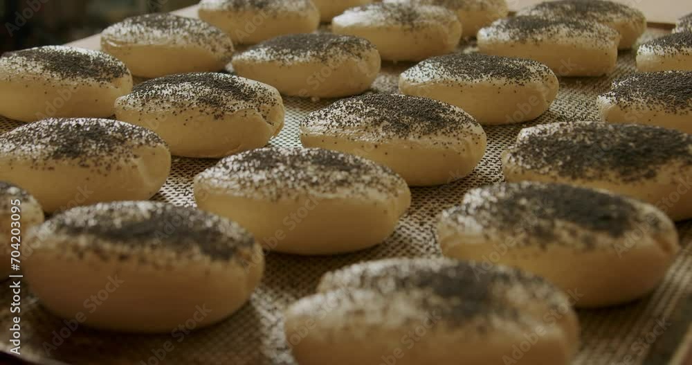 Buns sprinkled with poppy seeds being made at a bakery 4K, healthy home-made breakfasts, bakery and pastries, production of healthy food, traditional regional specialties. Buns sprinkled with poppy seeds being made at a bakery 4K, healthy home-made breakfasts, bakery and pastries, production of healthy food, traditional regional specialties.