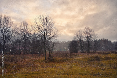 Landscape with trees covered with frost in late autumn
