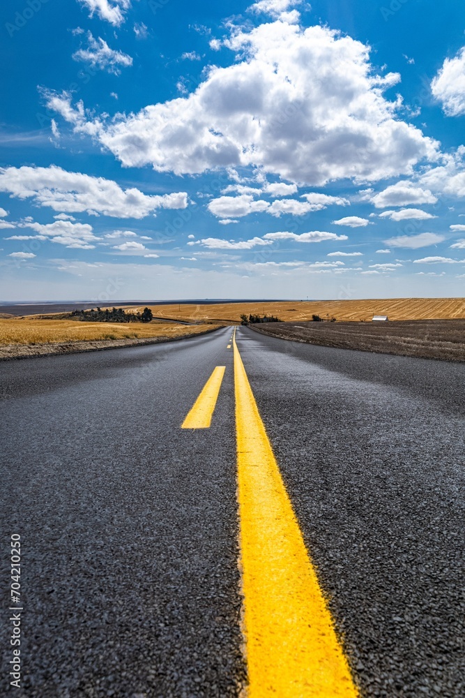 Fototapeta premium road in the desert