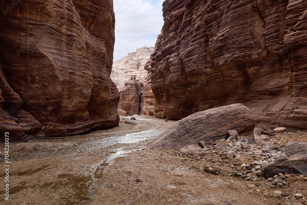 A shallow  stream flows between high rocks with beautiful amazing patterns on their walls at the end of a walking trail in the Wadi Numeirah gorge in Jordan