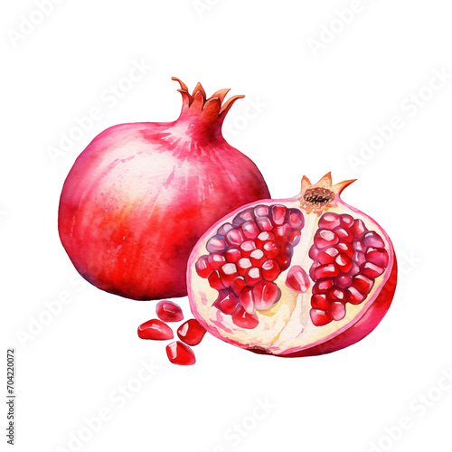 Pomegranate Watercolor