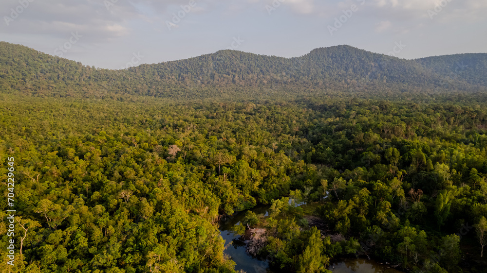 Aerial view of a dense tropical rainforest with a meandering river at sunset, conceptually related to environmental conservation and Earth Day