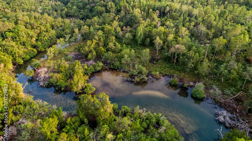 Aerial view of a meandering river through a dense green forest  depicting the natural beauty and serenity of a pristine wilderness area