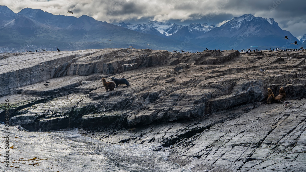 A small rocky island in the Beagle Channel. Sea lions walk on the slopes devoid of vegetation, cormorants sit. The waves are beating against the cliffs. Mountains against a cloudy sky. Argentina. 