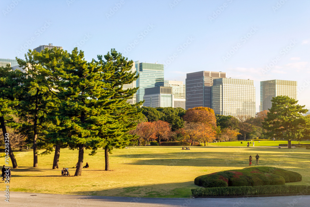 Tokyo Skyline view from the East Gardens of the Imperial Palace in Tokyo, Japan. Tokyo Skyline view from the East Gardens of the Imperial Palace in Tokyo, Japan.