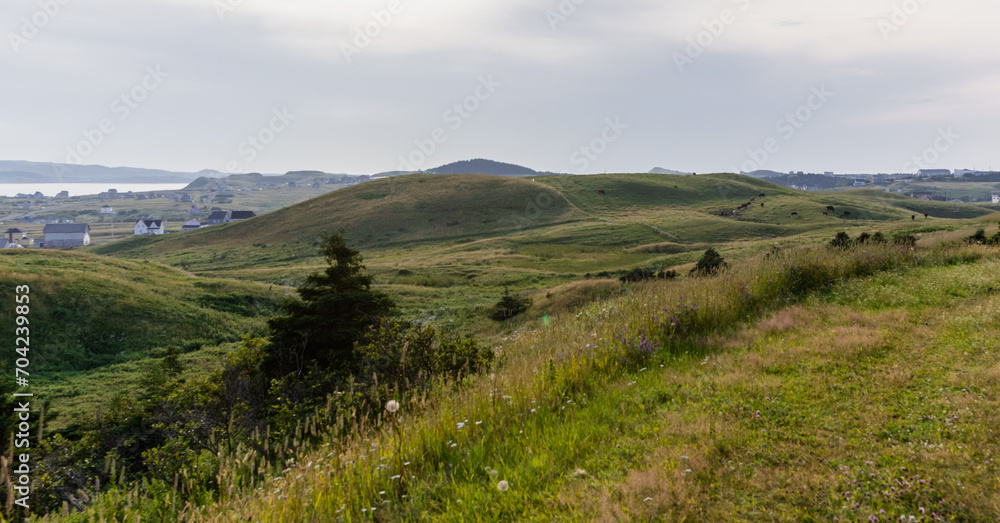 vue sur la vallé à partir du sommet d'une colline dans les iles avec du gazon vert au sol lors d'une journée ennuagée vue sur la vallé à partir du sommet d'une colline dans les iles avec du gazon vert au sol lors d'une journée ennuagée