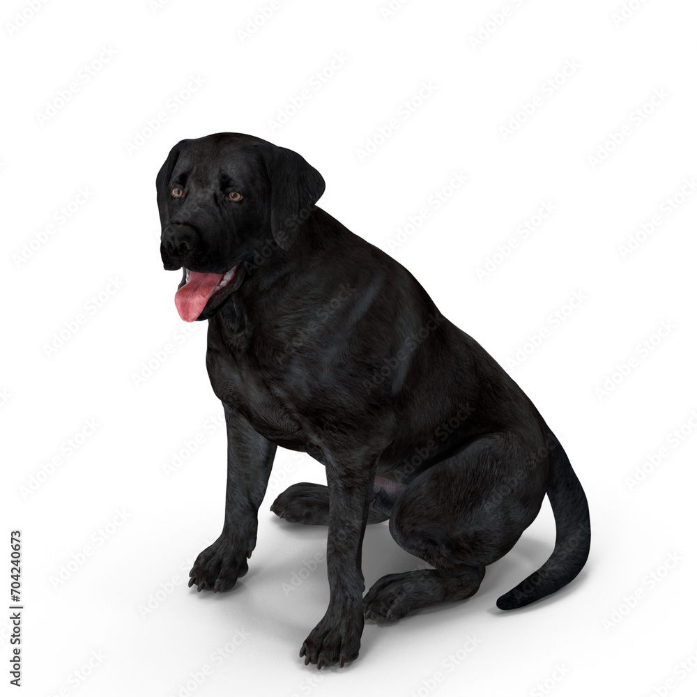 Realistic Labrador Dog - 3D Modeling PSD and PNG Files