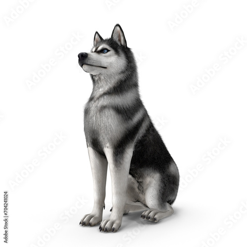 Siberian Husky 3D Modeling PNG File - Realistic Pet Dog