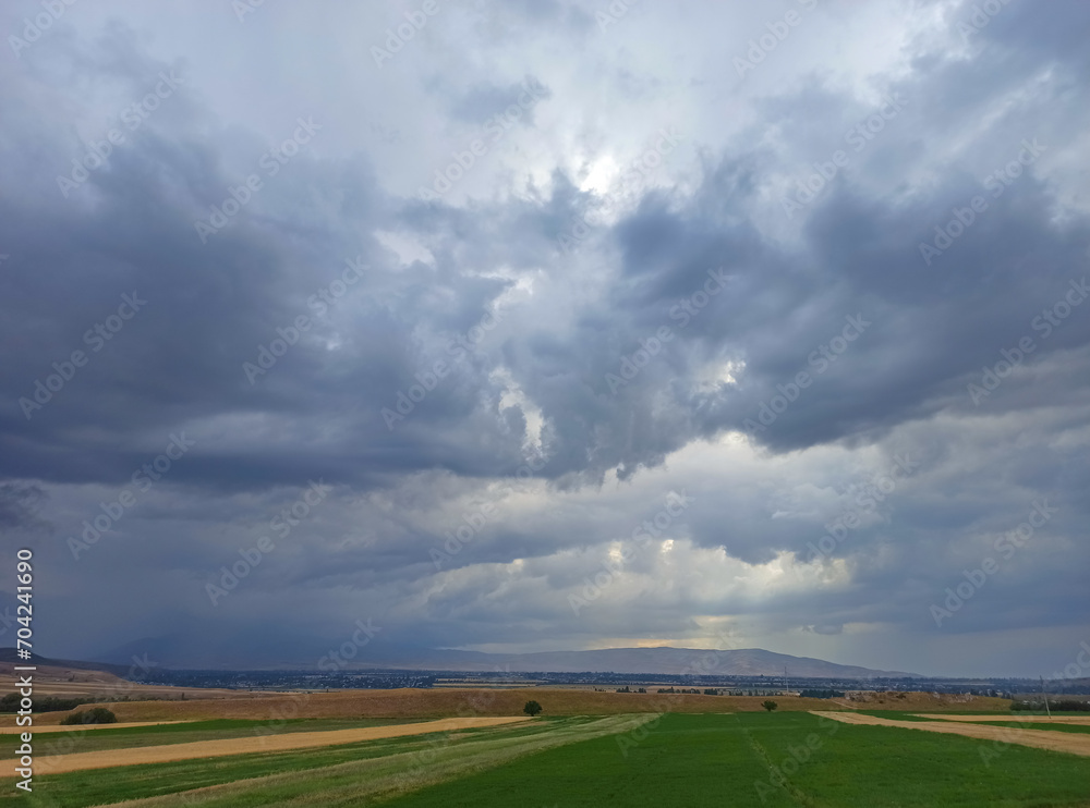 Ears of wheat on the background of the year. Wheat fields, freezing. Kyrgyzstan. Natural background Ears of wheat on the background of the year. Wheat fields, freezing. Kyrgyzstan. Natural background