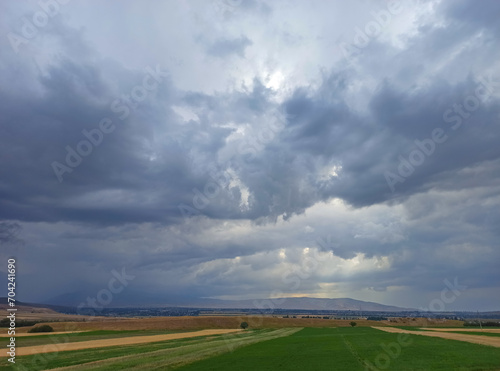 Wallpaper Mural Ears of wheat on the background of the year. Wheat fields, freezing. Kyrgyzstan. Natural background Torontodigital.ca