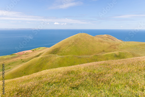 Quadro su tela vue sur des collines au bord de la mer recouvertes de gazon vert lors d'une jour