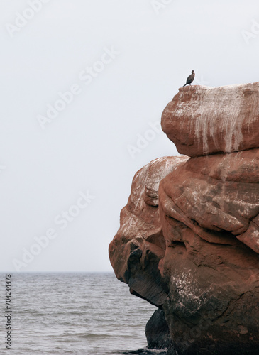 vue sur un rocher rouge recouvert de fiente d'oiseau au bord de l'eau en été avec un oiseau perché au top