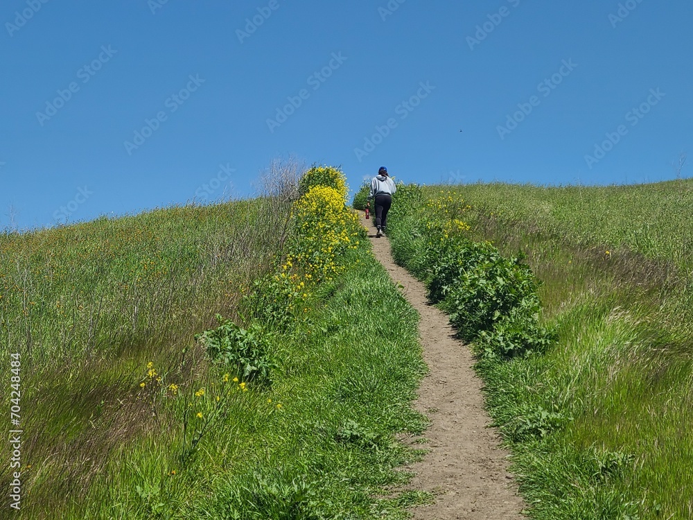 Hiker in the spring on the Diablo Vista trail in San Ramon, California