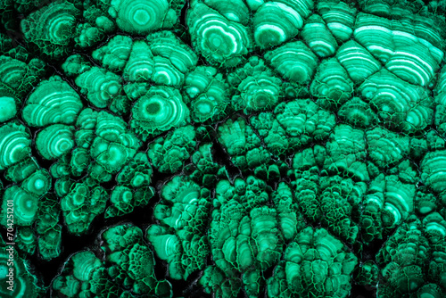 Bild auf Leinwand Banded malachite slice photography