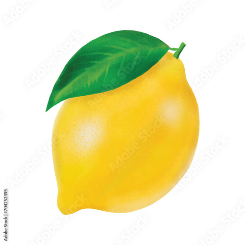 hand drawn lemon illustration, digitally created