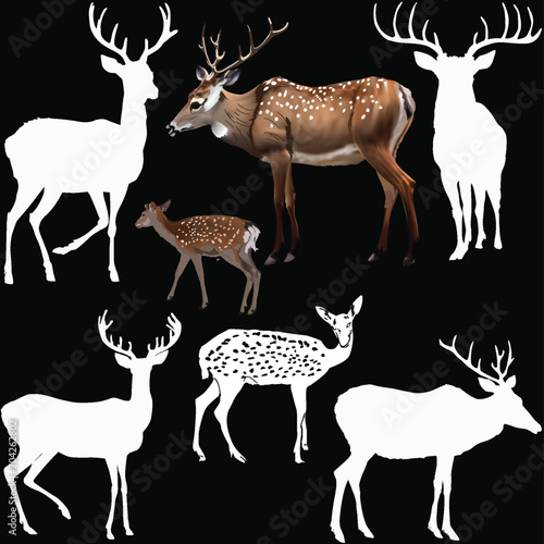 seven isolated on black deers