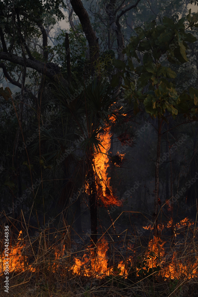 Australian Bushfire in the Northern Territory Australian Bushfire in the Northern Territory