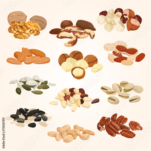 nuts seeds flat set with isolated images piles with various nuts blank background vector illustration