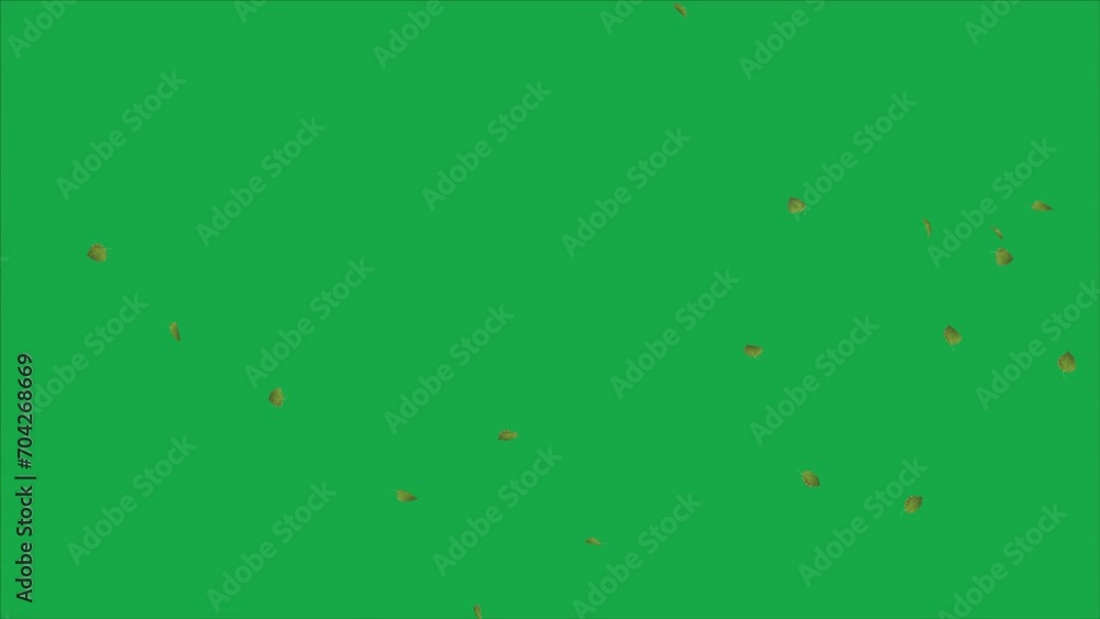 The video illustrates the graceful descent of green aspen leaves against a background of the same vibrant hue.
The video illustrates the graceful descent of green aspen leaves against a background of the same vibrant hue.
